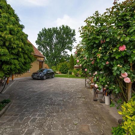 Bonifert Vendégház Dunabogdány Esterno foto