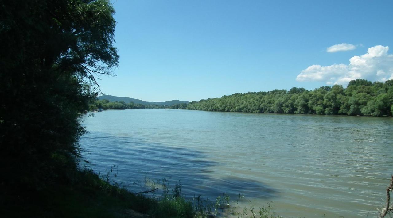 Bonifert Vendégház Dunabogdány Esterno foto