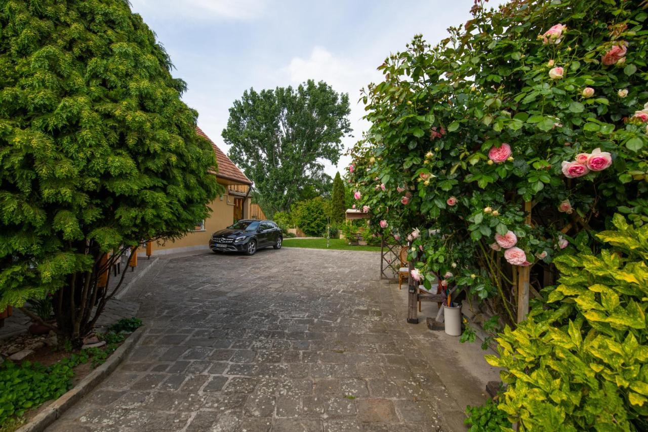 Bonifert Vendégház Dunabogdány Esterno foto