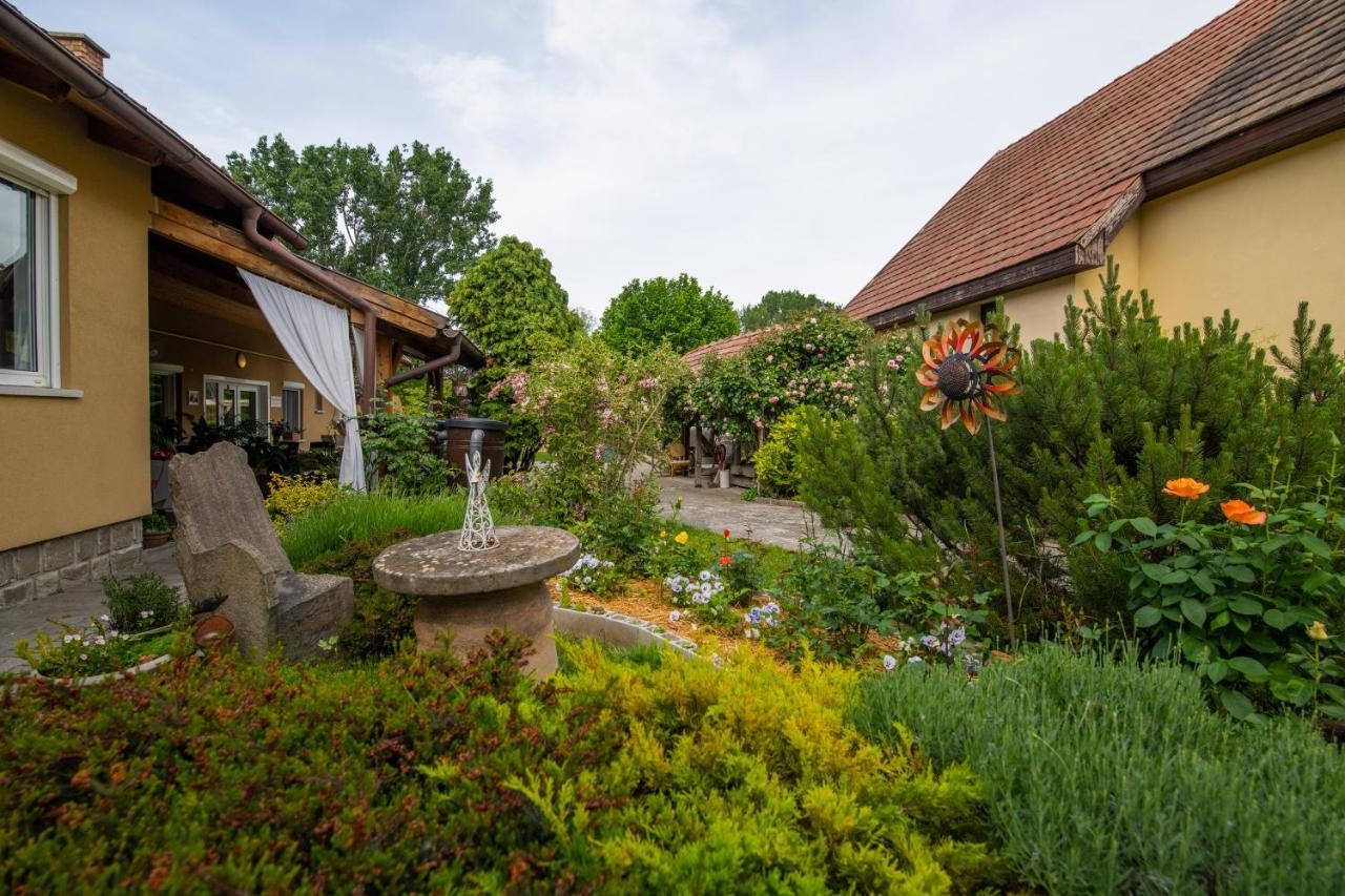 Bonifert Vendégház Dunabogdány Esterno foto